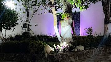 Un espacio al aire libre de noche con una estatua, un banco de piedra y un perro pequeño.