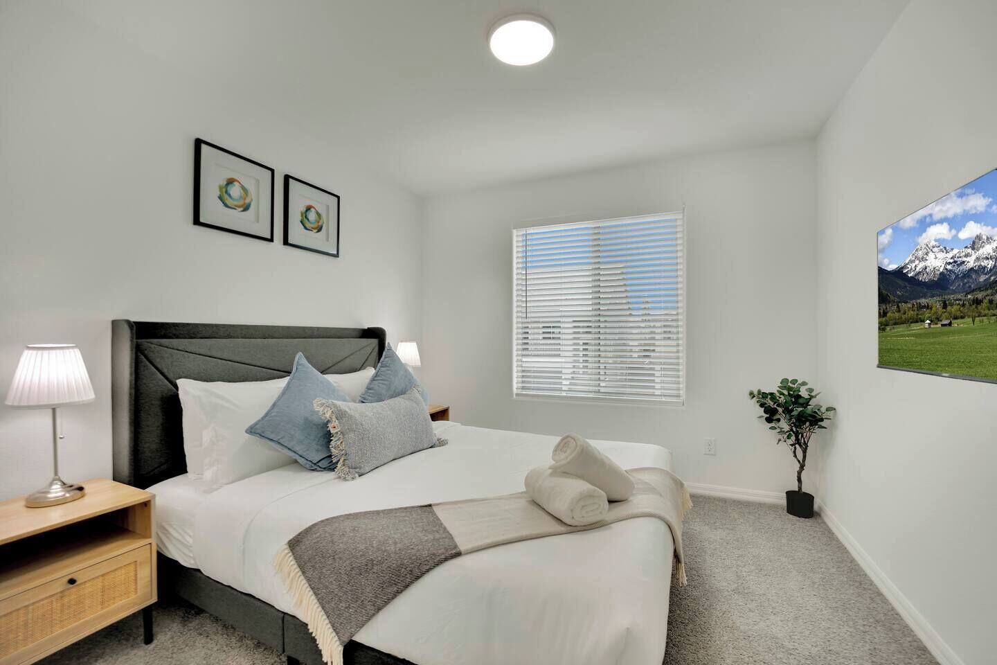 Iron/ironing board, WiFi, bed sheets