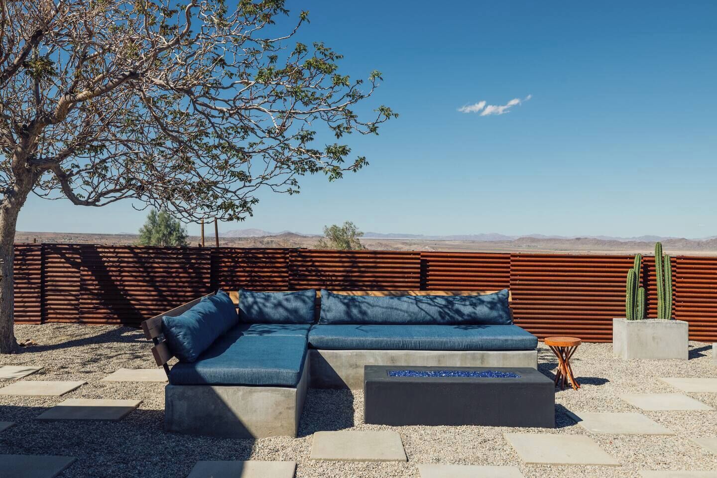 An outdoor seating area with a sofa and a small table, a cactus, and a tree.