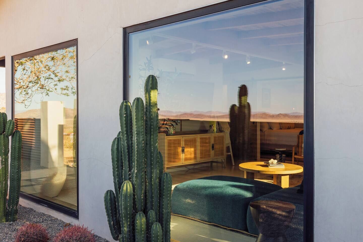 Un interior moderno con un gran ventanal, una planta de cactus, un sofá y una mesa.