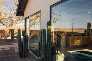 A modern interior with large windows, a cactus garden, and a view of the desert landscape.