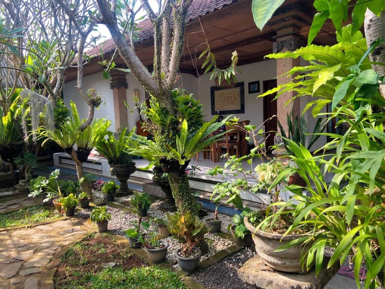 A garden with various potted plants, a stone pathway, and a building with columns in the background.