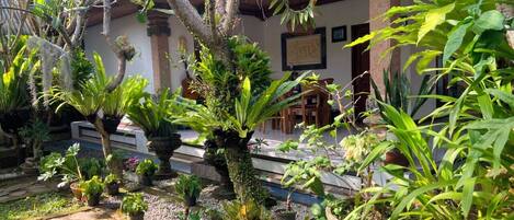 A garden with various potted plants, a stone pathway, and a building with columns in the background.