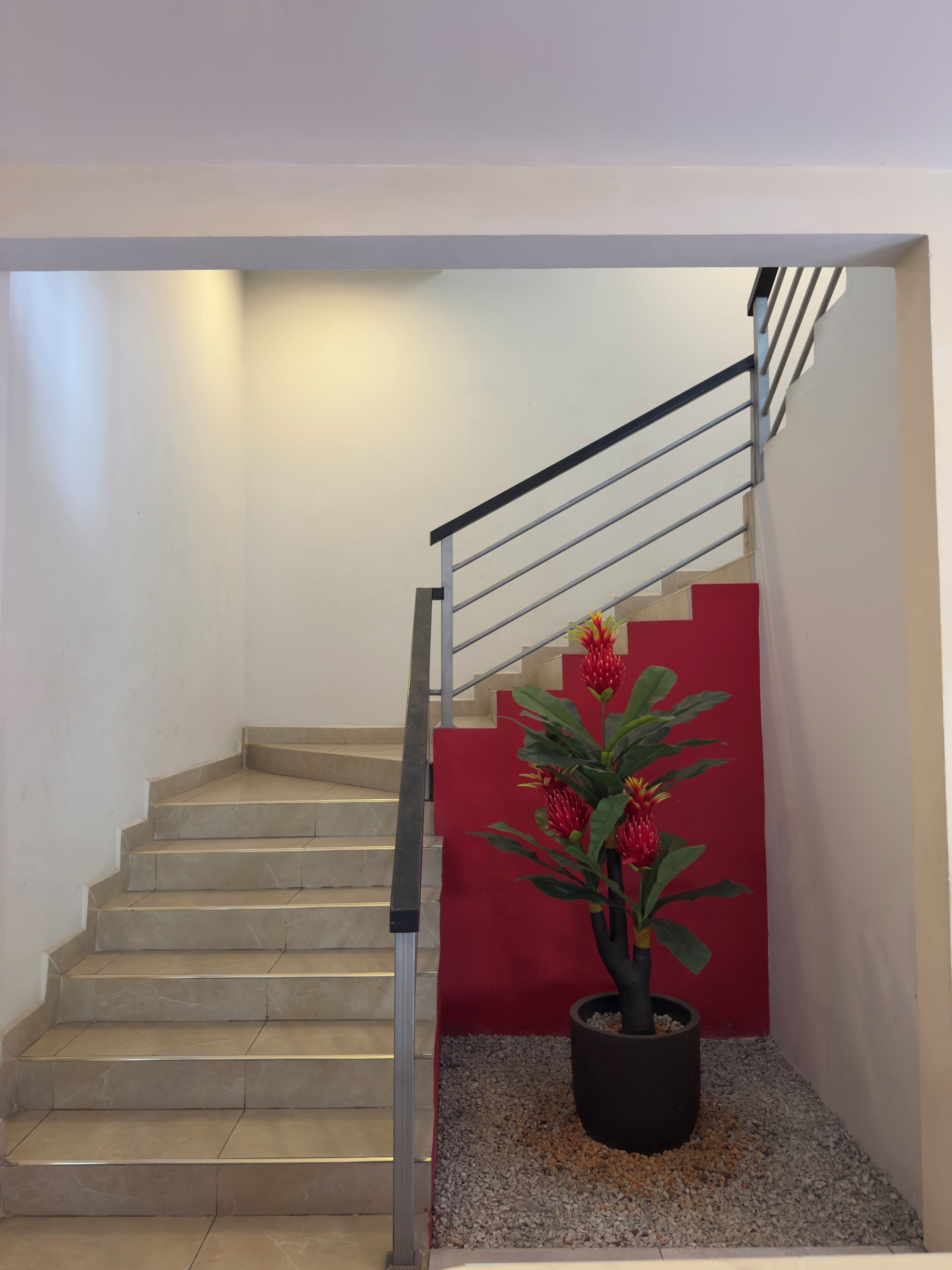 A staircase with a metal handrail, a red accent wall, and a potted plant with red flowers.