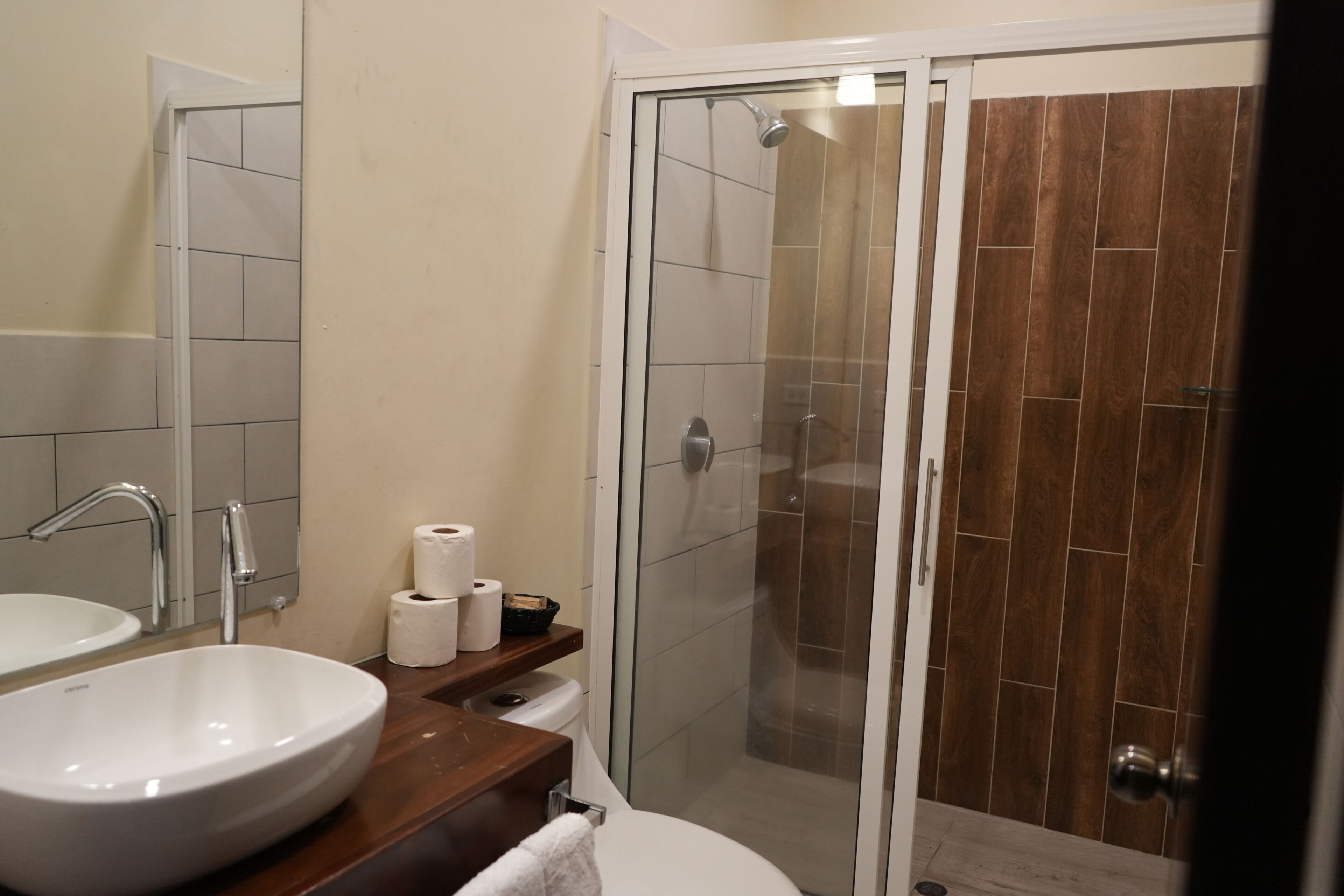 A bathroom with a white sink, a mirror, a shower with a glass door, and a toilet.