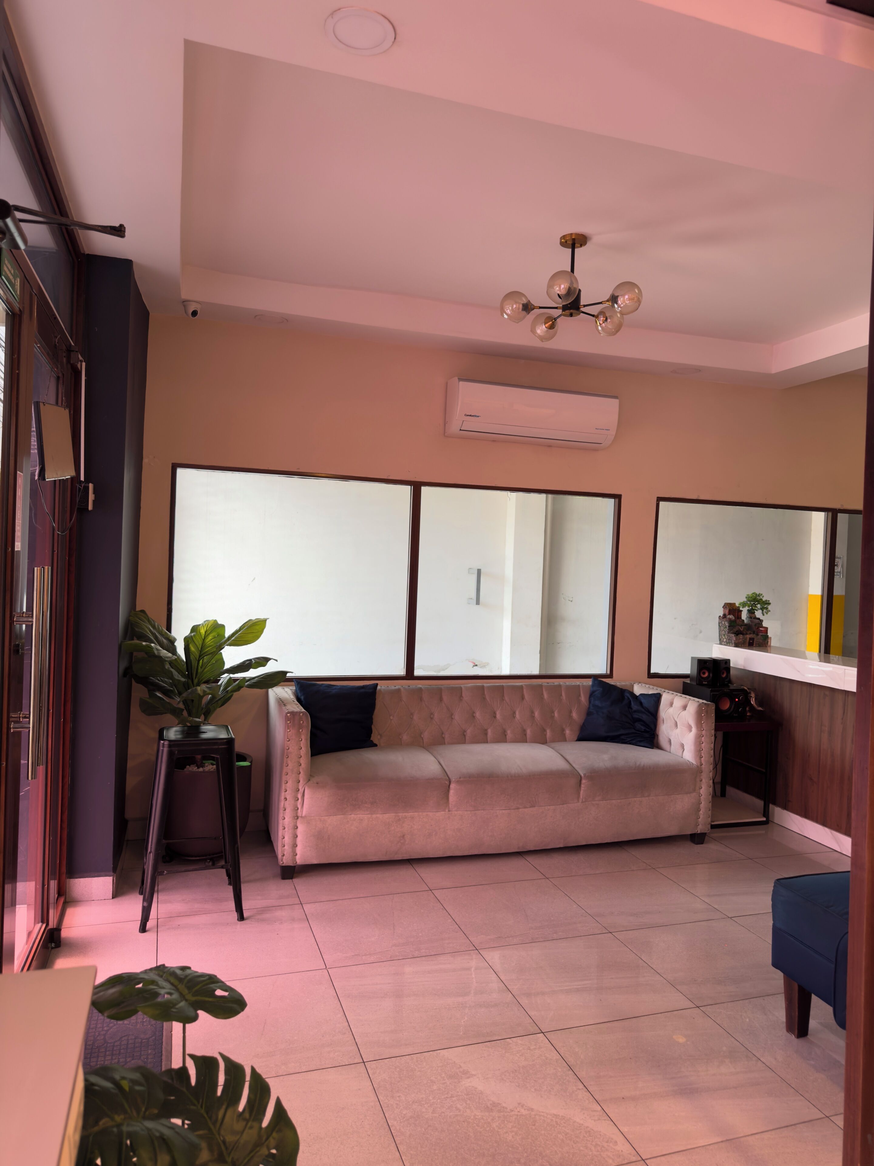 Una sala de estar con sofá, planta en maceta, mesita y ventilador de techo.