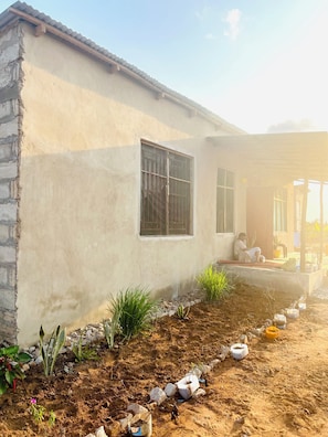 A building with a window and a door, surrounded by a garden with plants and rocks.