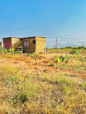 A rural setting with a single two-story building, a dirt ground, sparse vegetation, and a clear sky.