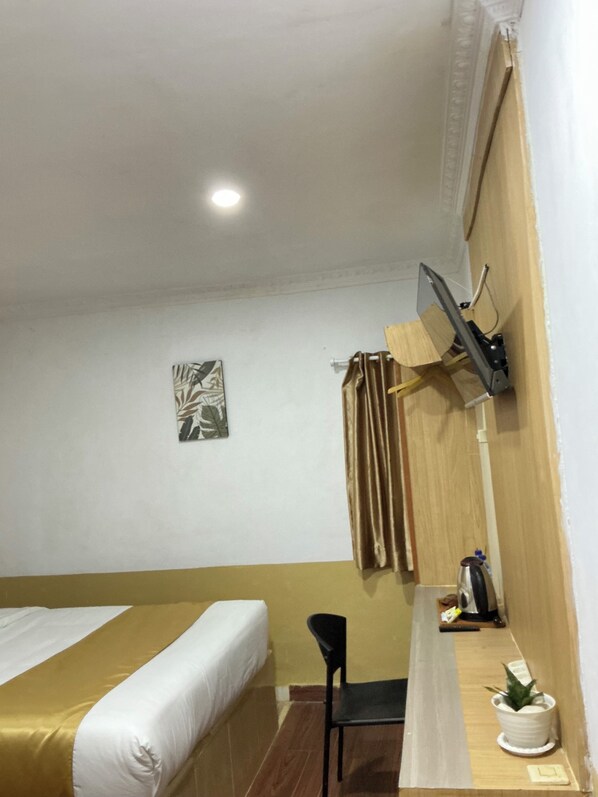 A hotel room with a bed, a desk, a chair, a television mounted on the wall, and a small potted plant.
