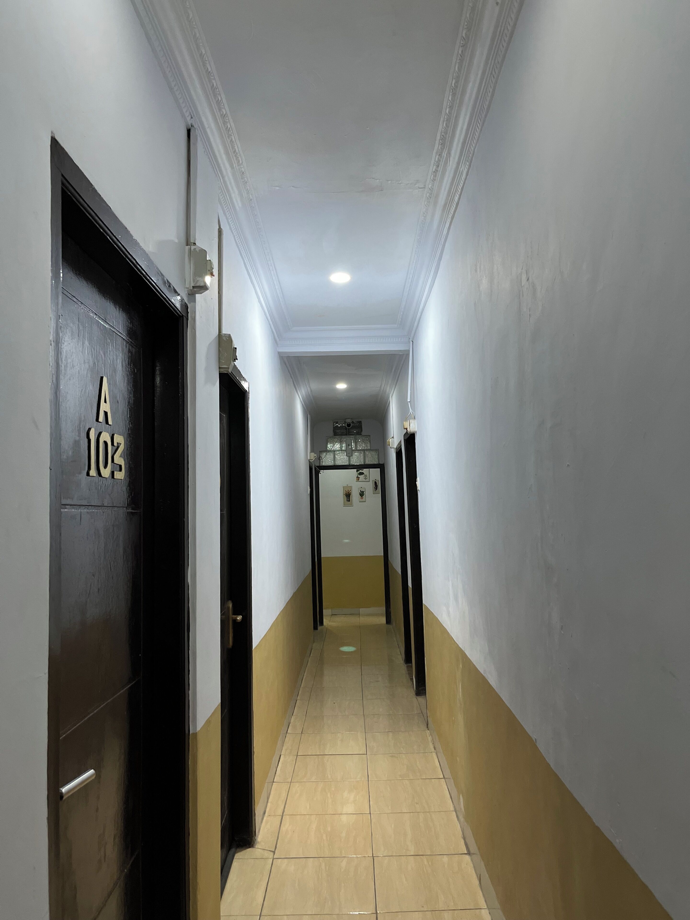 Un pasillo con una puerta identificada con 'A 103' que da a una habitación con cama y ventana.
