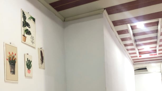 A corridor with white walls and a yellow lower section, featuring framed botanical artwork.