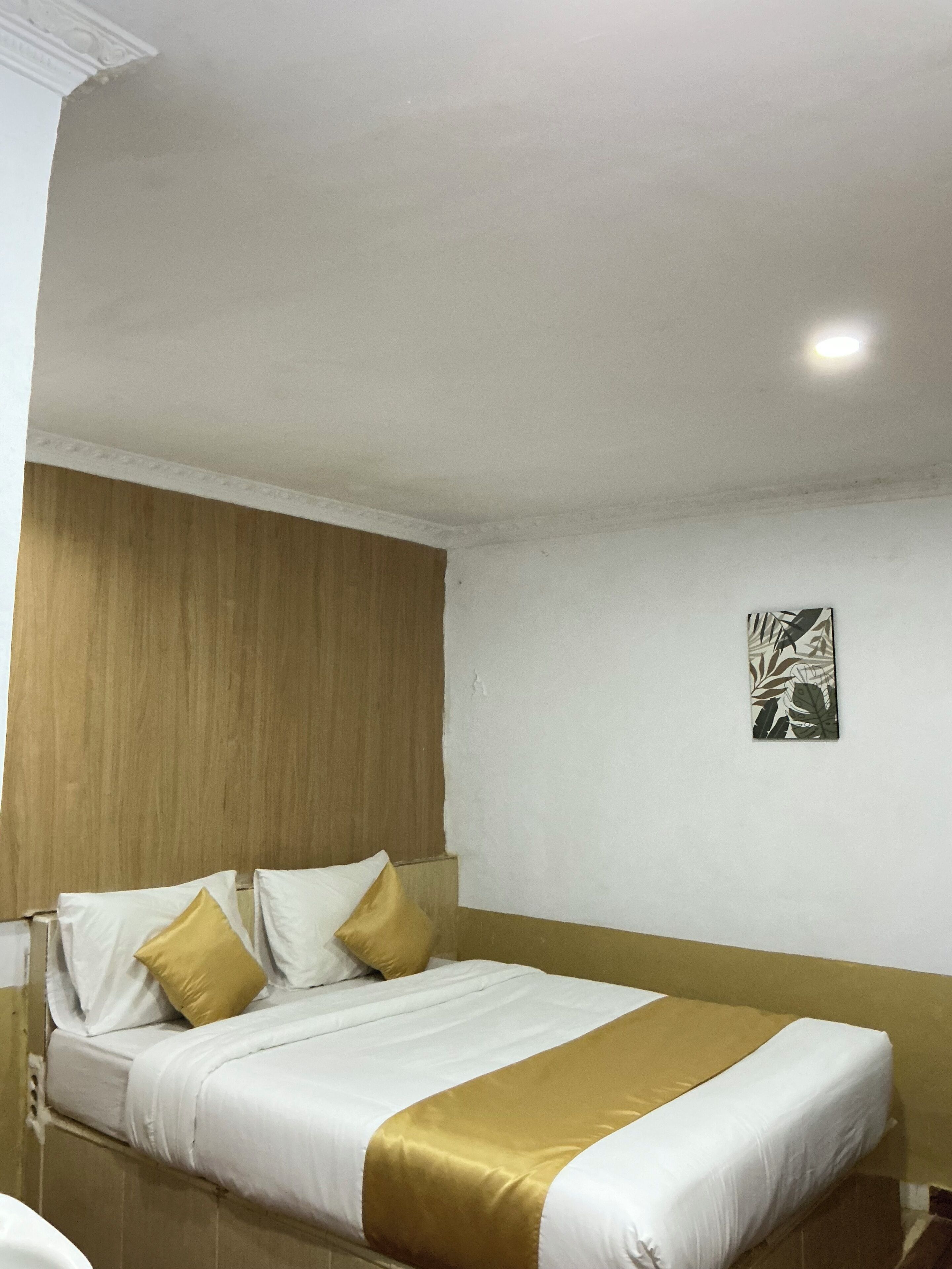 Habitación de hotel con cama, cabecero, una obra de arte colgada en la pared y una lámpara en el techo.