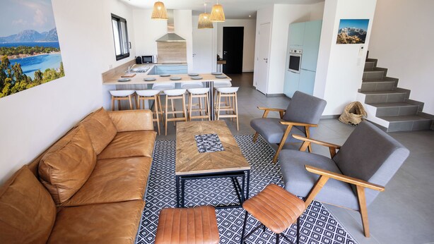 Ein zeitgemäßer Wohnbereich mit Sofa, Stühlen, einem Esstisch und einer Küchenzeile.