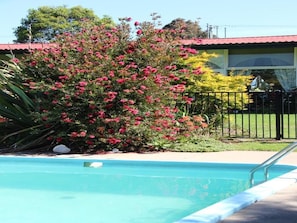 A swimming pool with a metal ladder, surrounded by lush greenery and a building with a red roof.