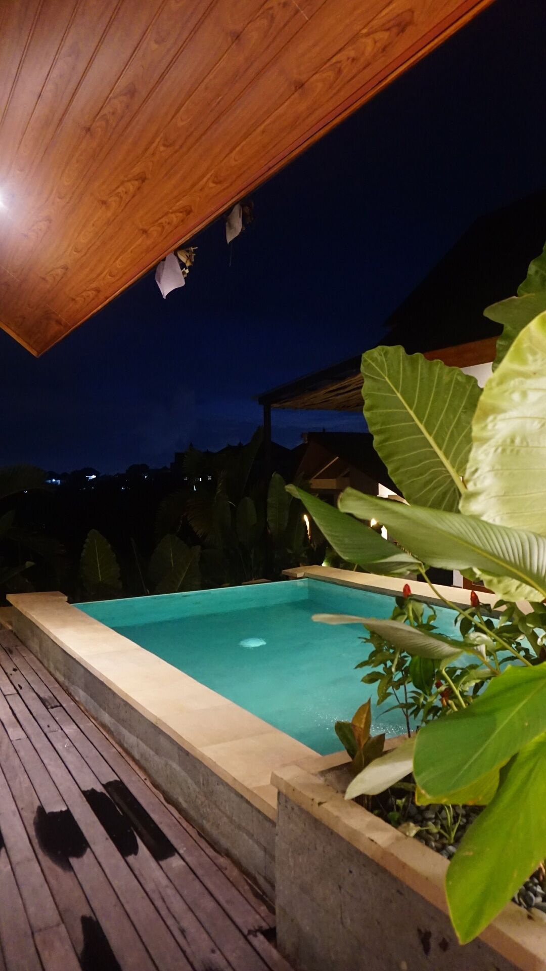 A swimming pool with a wooden deck and surrounding vegetation at night.