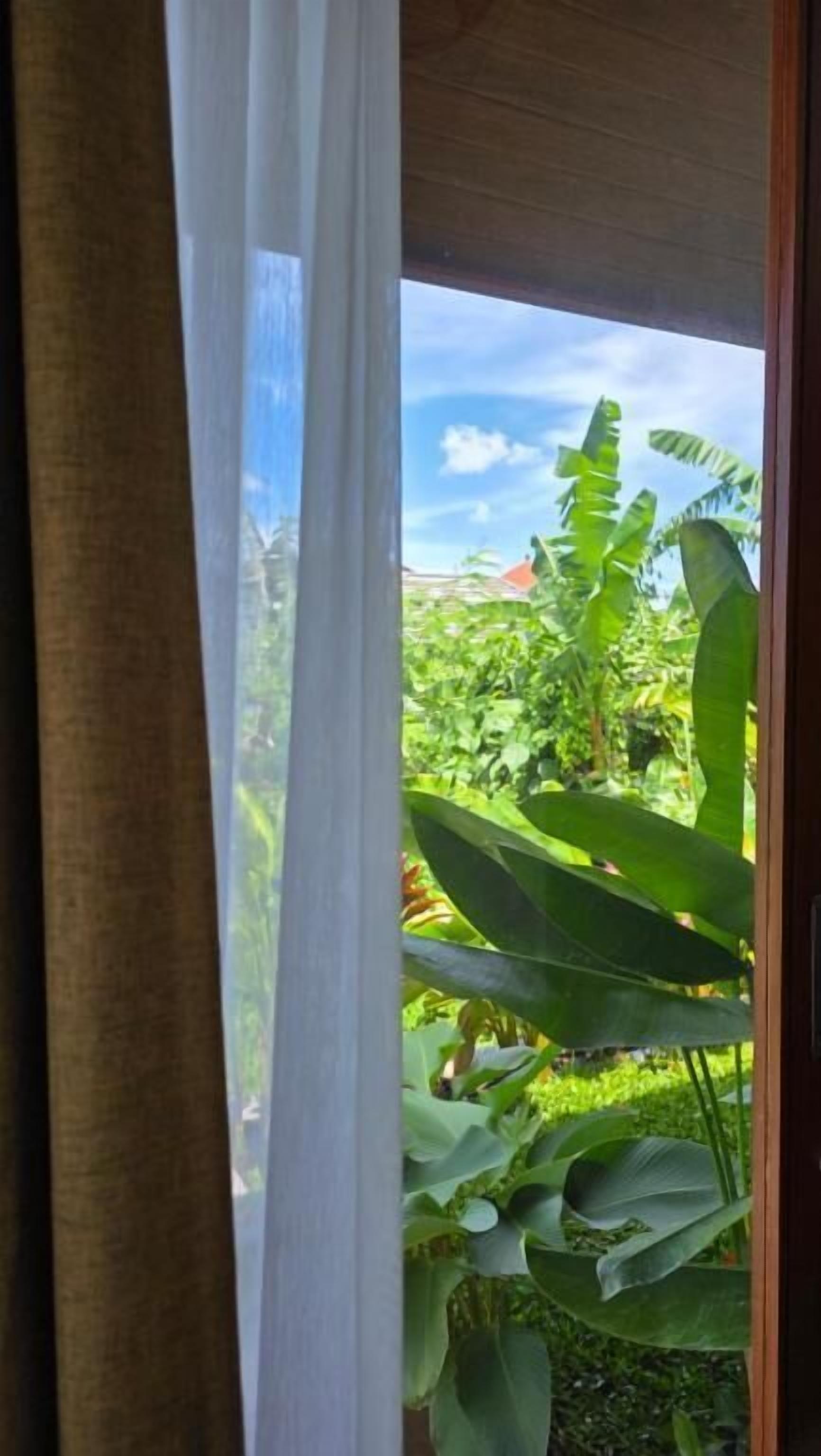 A view through a window with a curtain, revealing lush greenery and a clear sky.