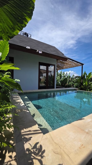 A modern house with a swimming pool, surrounded by lush greenery.