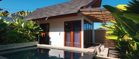 A modern house with a pool, surrounded by tropical plants.