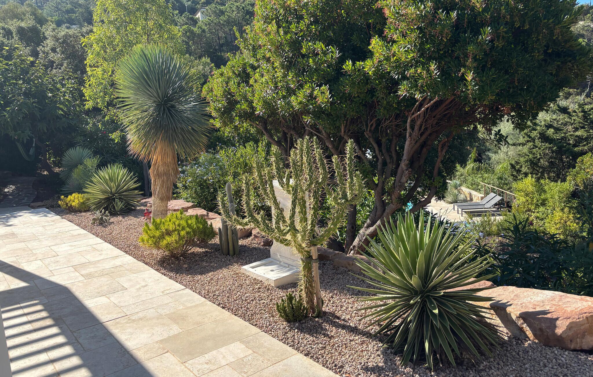 A landscaped garden with various cacti and shrubs, a paved walkway, and a seating area with a table and chairs.