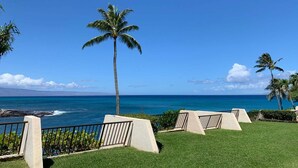 A clear view of the ocean with a palm tree in the foreground and a clear sky. - Ocean Views, Steps to Turtle Snorkeling at Honokeana Cove -Napili Point B24 (Lahaina)