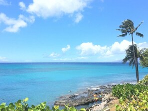 A tropical beach with clear blue water, a palm tree, and rocky shoreline. - Ocean Views, Steps to Turtle Snorkeling at Honokeana Cove -Napili Point B24 (Lahaina)