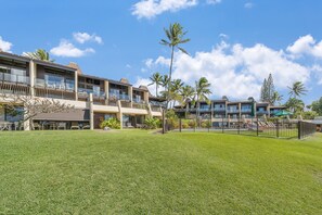 A hotel with multiple balconies, outdoor seating, and palm trees. - Ocean Views, Steps to Turtle Snorkeling at Honokeana Cove -Napili Point B24 (Lahaina)