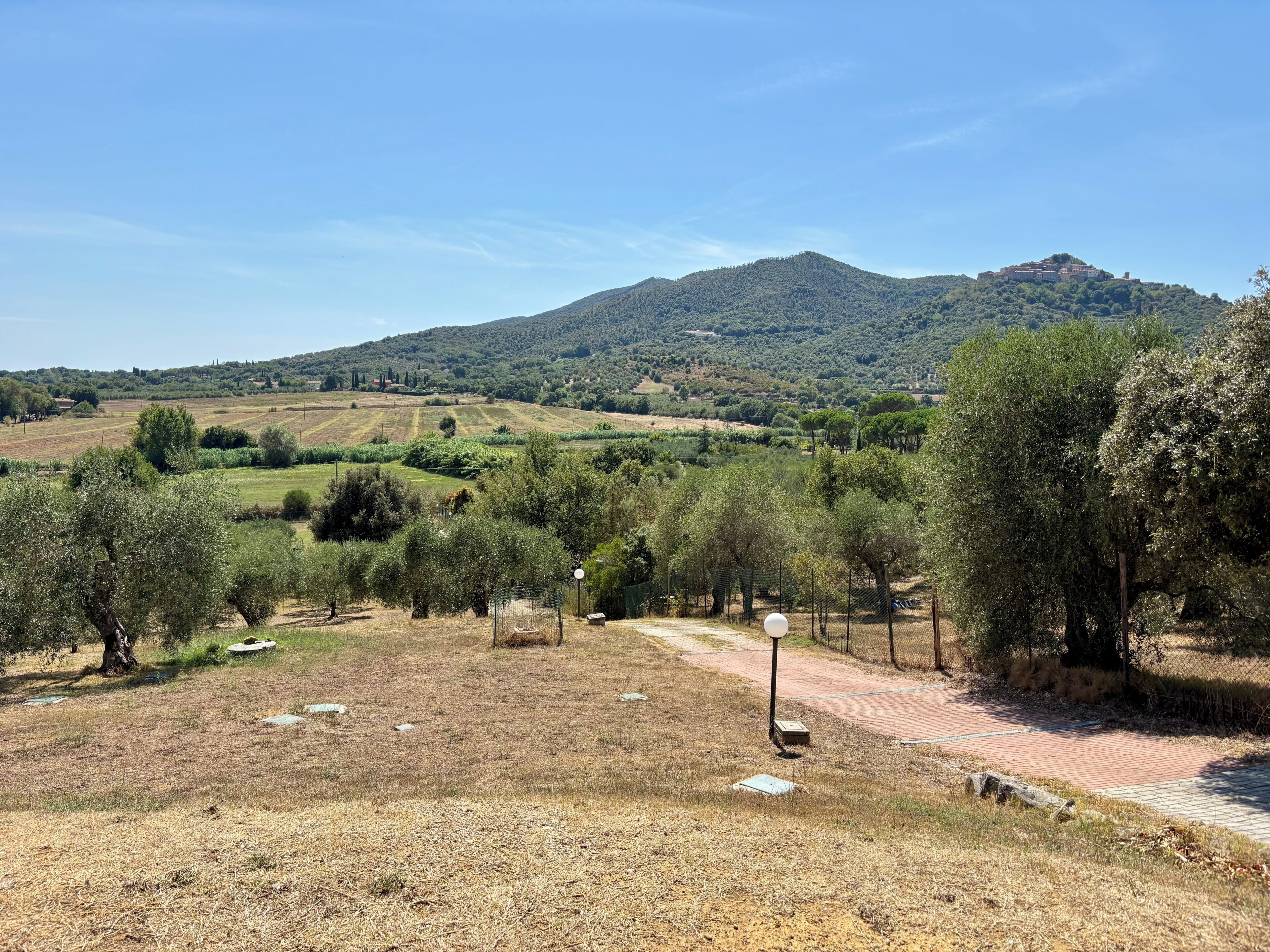 Un paysage rural avec un chemin pavé, des oliviers et, au loin, une colline sur laquelle se trouve un bâtiment.