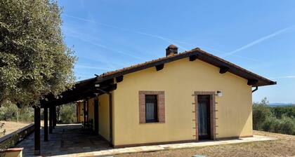 Cottage nestled among the olive trees, dogs welcome