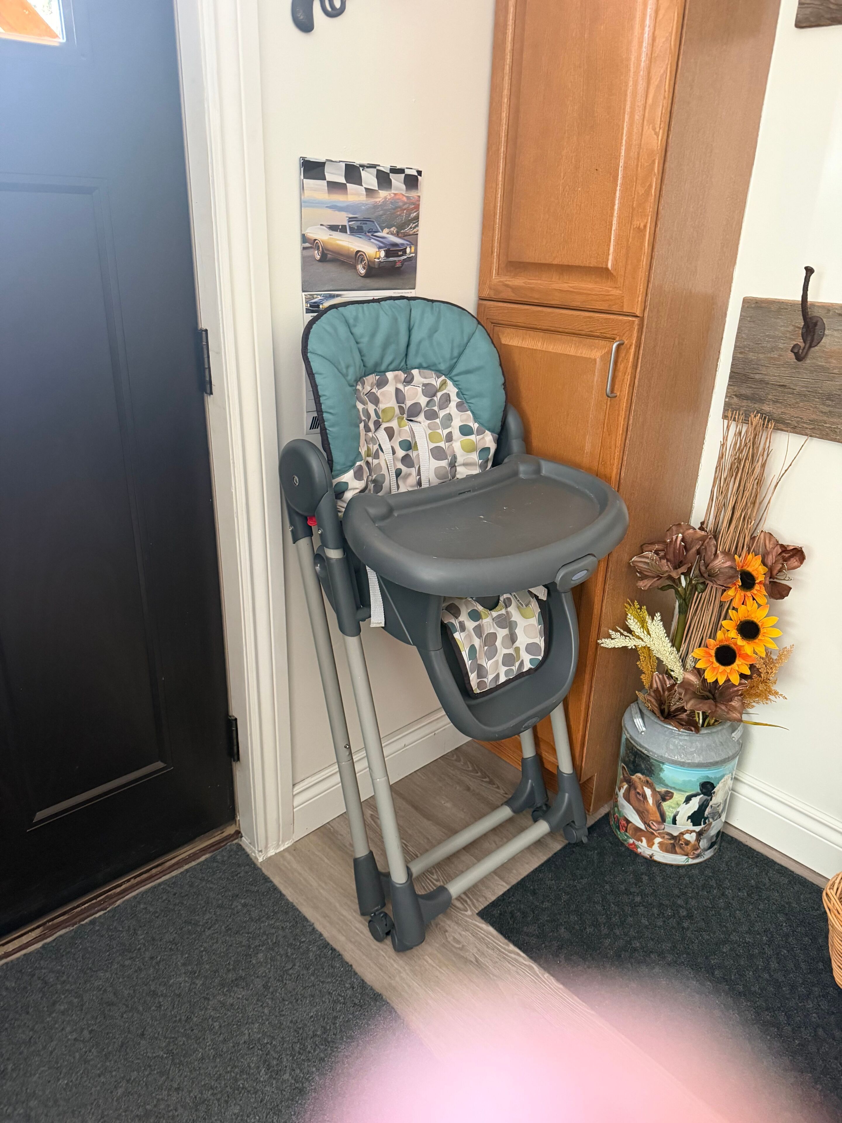 A baby stroller with a checkered cover, a wooden door, and a vase with dried flowers on the floor.