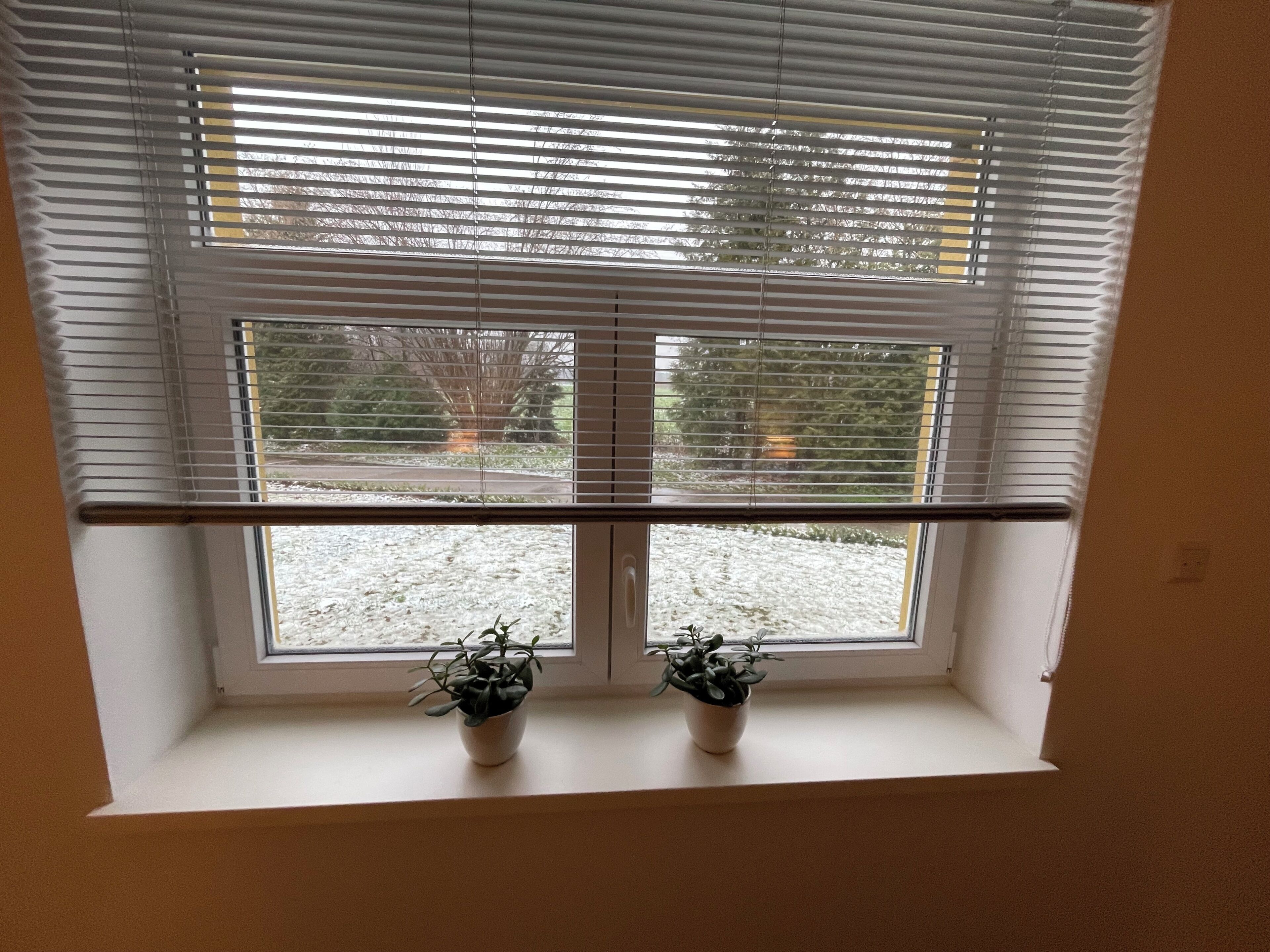 A window with blinds, two potted plants on the sill, and a view of a snowy landscape with trees and a road.