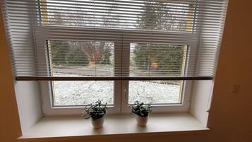 Ein Fenster mit Jalousien, zwei Blumentöpfe auf der Fensterbank und ein Blick auf eine verschneite Landschaft mit Bäumen und einer Straße.