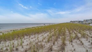 A beach with dunes and a row of houses in the background. - Normandy Beach! Phenomenal Ocean Block Location (Lavallette)