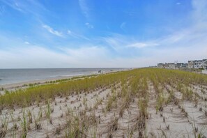 A beach with dunes and a row of houses in the background. - Normandy Beach! Phenomenal Ocean Block Location (Lavallette)