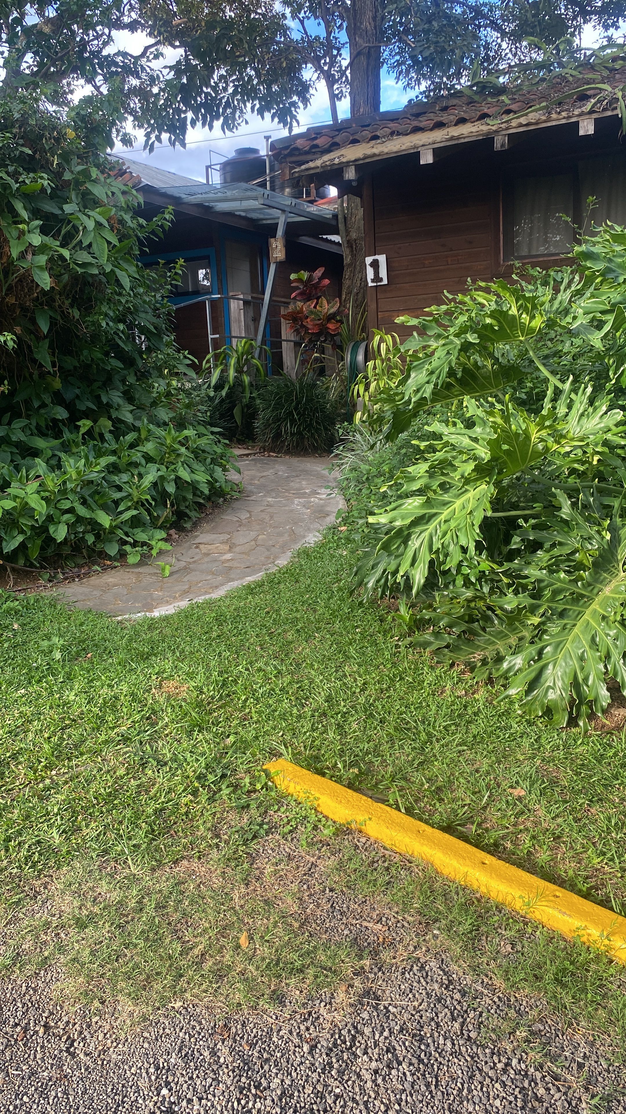 A garden area with a stone pathway leading to a wooden building, surrounded by lush greenery.