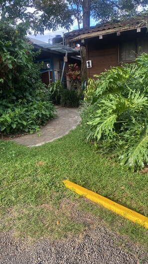 Un espace jardin agrémenté d’un sentier en pierre menant à une construction en bois, le tout entouré d’une végétation luxuriante.