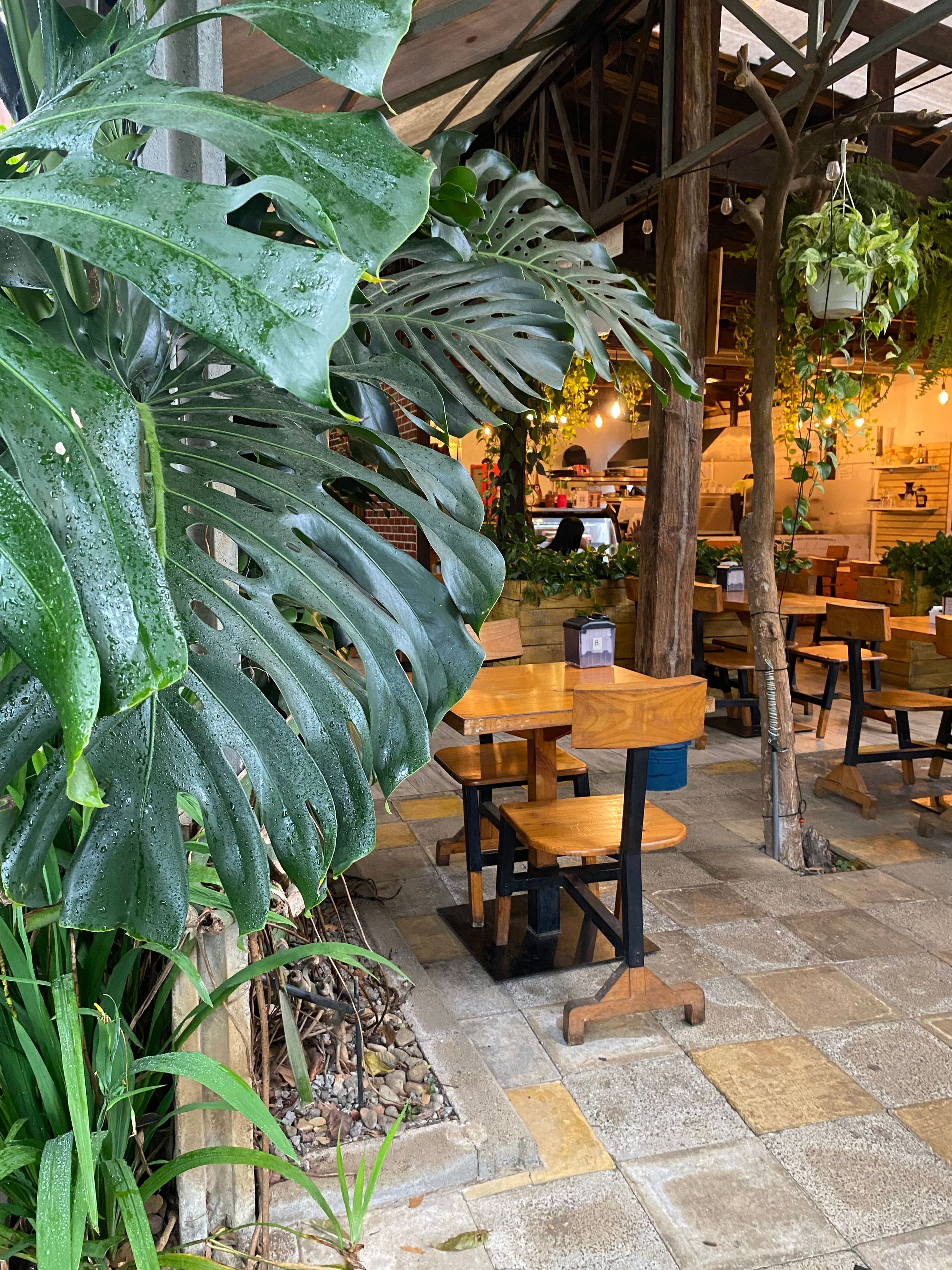 Un espace de restauration intérieur avec des tables et des chaises en bois, entouré de grandes plantes tropicales et de plantes suspendues.