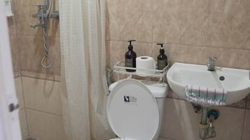 Baño con inodoro, ducha, lavamanos y cubo de basura.