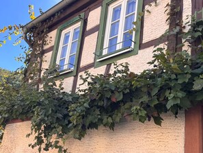 A building with two windows, covered partially by ivy.