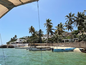 A coastal scene with boats docked, palm trees, and buildings on a hillside.