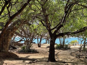 A sandy beach with trees and a clear view of the water. - Relaxing private beachfront escape on Manda Island Lamu with ocean sunset view (Lamu)