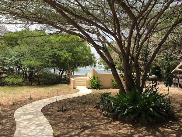 A pathway leading to a beach area with trees and plants.