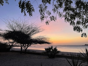 A beach scene with a tree and a view of the sea during sunset.