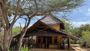A thatched-roof structure with a porch, surrounded by trees and plants.
