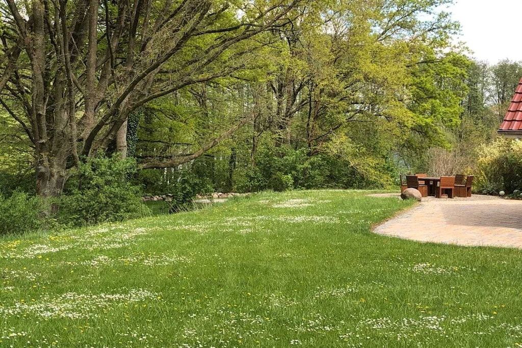 Un espace verdoyant avec des arbres et un banc en bois.