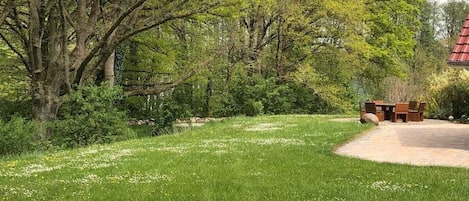 A grassy area with trees and a wooden bench.