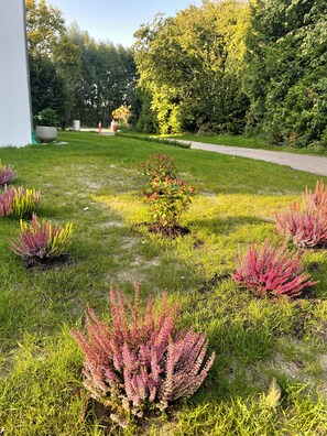 A garden with various plants and a pathway. - Open, Bright Apartment (Halle (Westfalen))