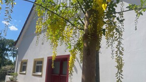 A building with a red door, a white wall, and a tree with hanging yellow flowers. - Open, Bright Apartment (Halle (Westfalen))