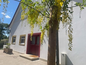 Ein Gebäude mit roter Tür, weißer Fassade und einem Baum mit hängenden gelben Blüten.