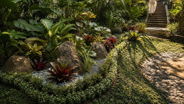 A garden pathway leading to a staircase surrounded by lush tropical plants and rocks.