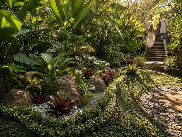 A garden pathway leading to a staircase surrounded by lush tropical plants and rocks.